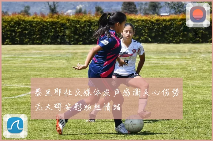 泰里耶社交媒体发声感谢关心伤势无大碍安慰粉丝情绪