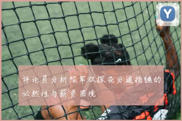 评论员分析绿军双探花分道扬镳的必然性与薪资困境